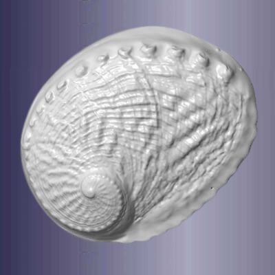 Untitled design (1)